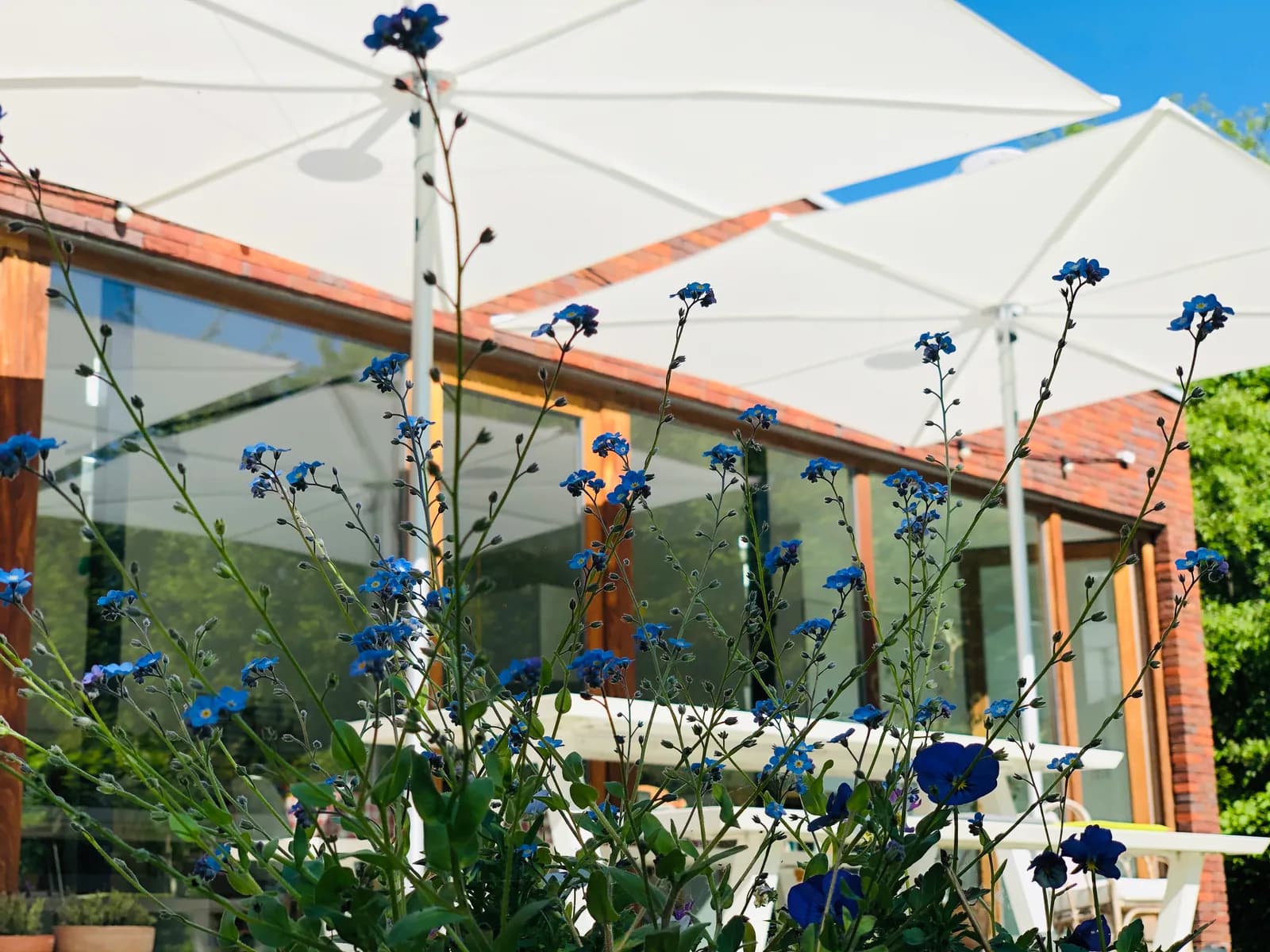 Umbrosa Residential project | Belgium, residential project in Belgium